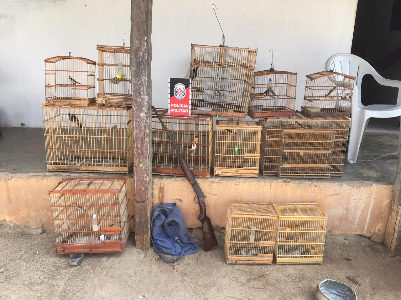 unnamed Polícia liberta 14 aves silvestres que estavam presas em cativeiro na cidade de Salgado de São Félix