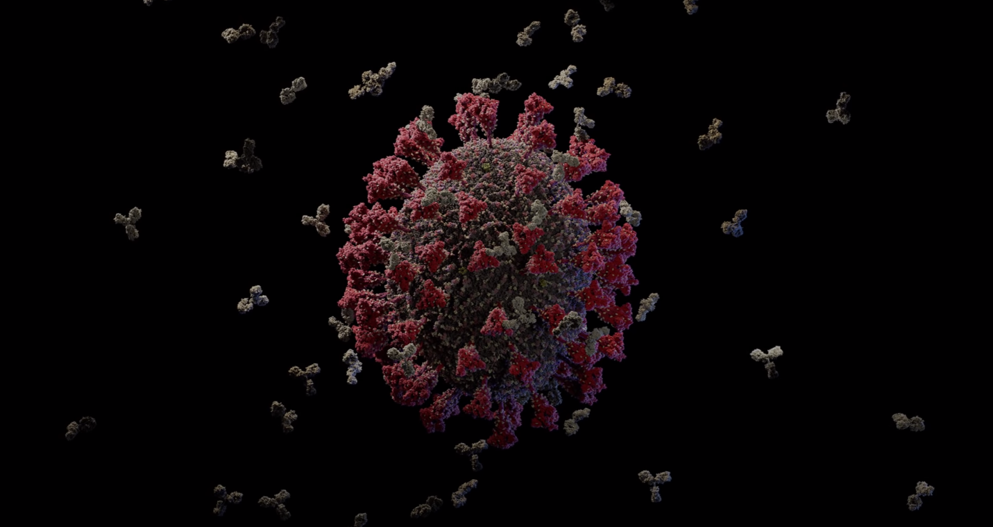 15maio2020-imagem-em-3d-do-novo-coronavirus-e-considerada-a-mais-precisa-ate-agora-1589543214667_v2_1431x759 Covid-19.Beltrammi confirma alta na taxa de transmissão da covid-19 na Paraíba