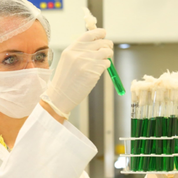 R$ 6 mi em investimentos: SENAI e Nestlé prorrogam inscrições para projetos sobre futuro alimentar