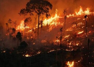Senadores apresentam projetos para agravar penas em crimes de incêndio