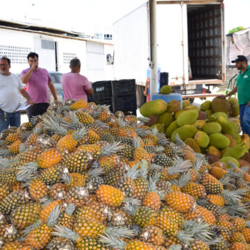 IMG_9569 Governo compra 17,5 t de alimentos da agricultura familiar e atende pessoas em situação de insegurança alimentar