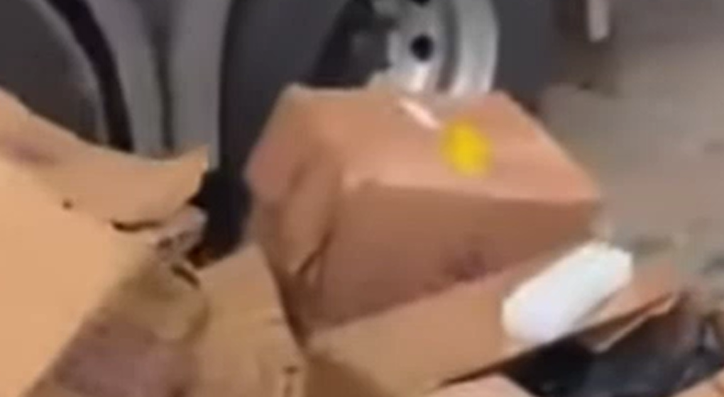 Captura de tela 2025-12-11 100529 VEJA VIDEO Apreensão Gigantesca: 700 kg de Maconha São Interceptados na Divisa da PB em Operação da PRF e Receita Federal