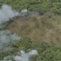 PF descobre plantação de maconha irrigada na Paraíba