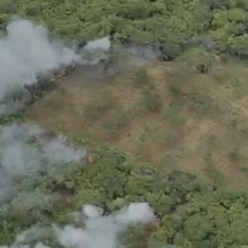 PF descobre plantação de maconha irrigada na Paraíba